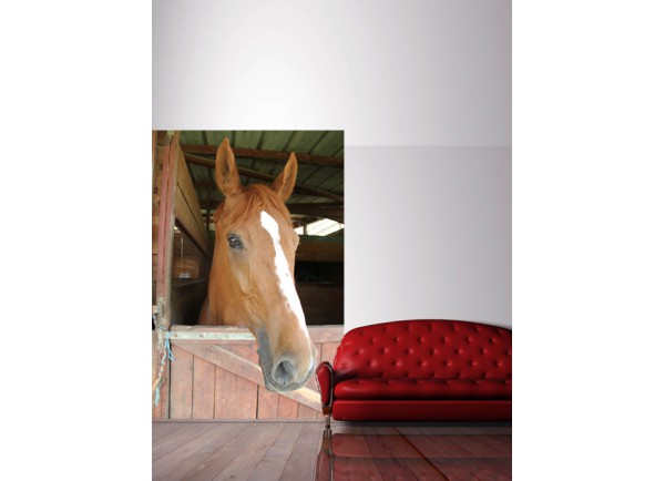 Stickers Cheval au galop - Tatoutex-Stickers