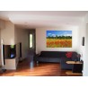 Stickers paysage Champ de coquelicots