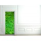 Stickers pour porte Mur de lierre