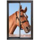Stickers trompe l'oeil baie vitrée Portrait de cheval