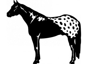 stickers Cheval appaloosa