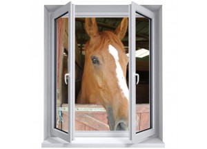 Stickers trompe l'oeil fenêtre Le cheval