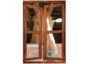 Stickers trompe l'oeil fenêtre le cheval