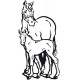 stickers Cheval et poulain