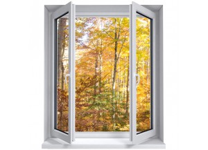 Stickers trompe l'oeil fenêtre Forêt d'automne