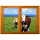 Stickers trompe l'oeil fenêtre Les vaches