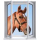 Stickers trompe l'oeil fenêtre Portrait de cheval