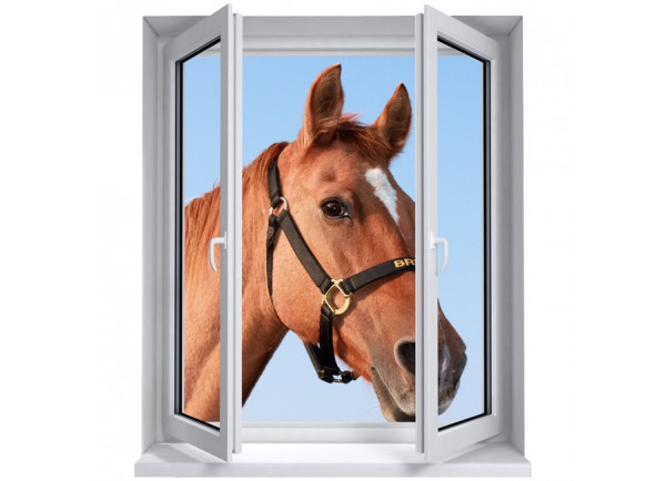 Stickers trompe l'oeil fenêtre Portrait de cheval
