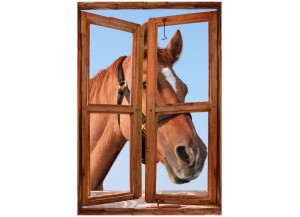 Stickers trompe l'oeil fenêtre Portrait de cheval