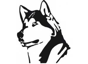 stickers chien husky