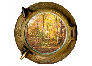 Stickers trompe l'oeil hublot Forêt d'automne