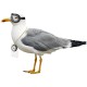 Stickers Mouette et boussole