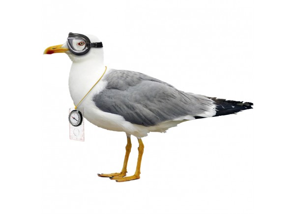 Stickers Mouette