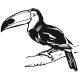 stickers Toucan