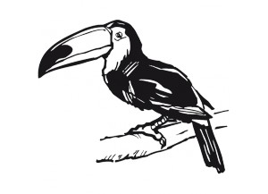 stickers Toucan