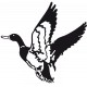 Stickers Canard