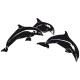 stickers Trois dauphins