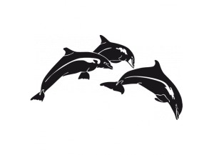 stickers Trois dauphins