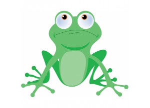 stickers Grenouille verte