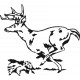 stickers Cerf