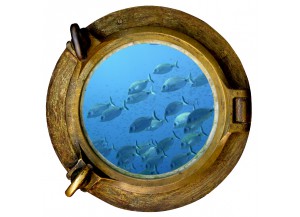 Stickers trompe l'oeil hublot Banc de poissons