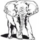 stickers éléphant