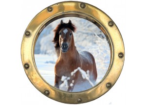 Stickers trompe l'oeil hublot Cheval dans la neige