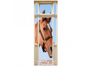 Stickers trompe l'oeil porte Portrait de cheval