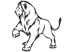 Stickers Lion