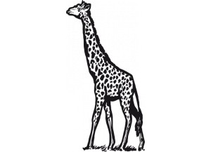 stickers Girafe