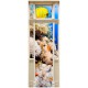 stickers porte les poissons tropicaux