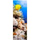 Stickers pour porte Les poissons tropicaux