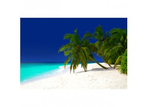 Stickers paysage plage et sable blanc