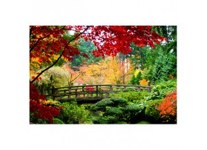 Stickers paysage le jardin exotique