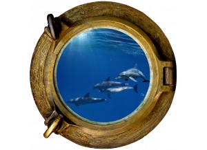 Stickers trompe l'oeil hublot Banc de dauphins 