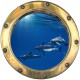 Stickers trompe l'oeil hublot banc de dauphins