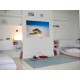 Stickers paysage la tortue sur la plage