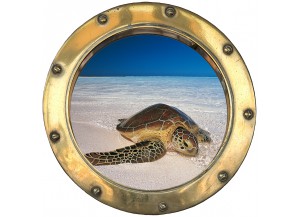 Stickers trompe l'oeil hublot tortue sur la plage