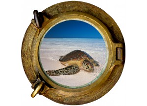 Stickers trompe l'oeil hublot tortue marine sur une plage
