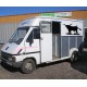 stickers Taureau longues cornes