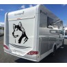 Stickers Chien husky