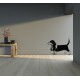 Stickers Chien le basset