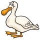 Stickers canard