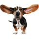 stickers chien basset rigolo