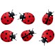Stickers 6 coccinelles