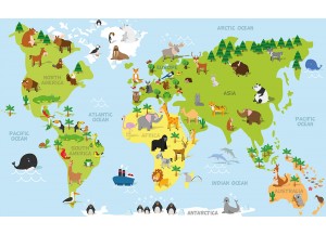 Stickers carte du monde enfant