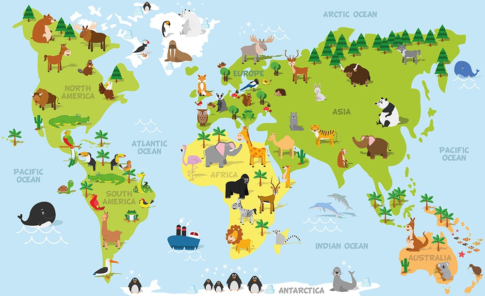 Stickers Pour Enfant Décoration Murale Enfant Stickers Carte