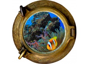 Stickers trompe l'oeil hublot poissons tropicaux