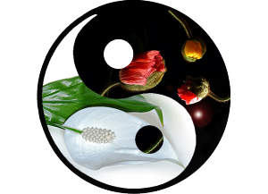 Stickers Ying Yang fleur zen