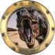 Stickers trompe l'oeil hublot doré dinosaure Tyrex